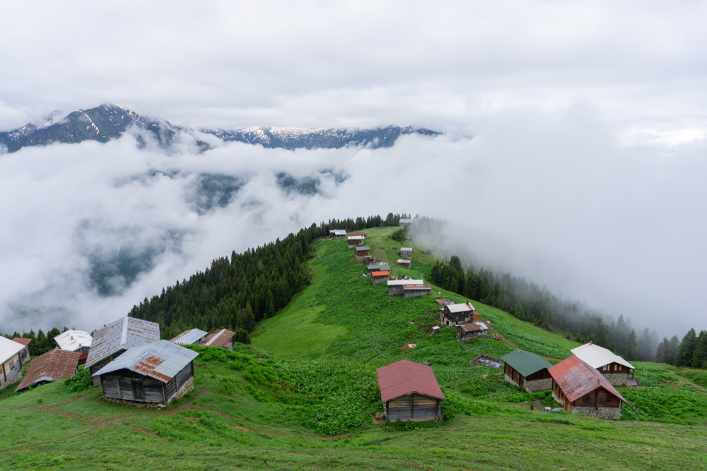 Karadeniz Turu